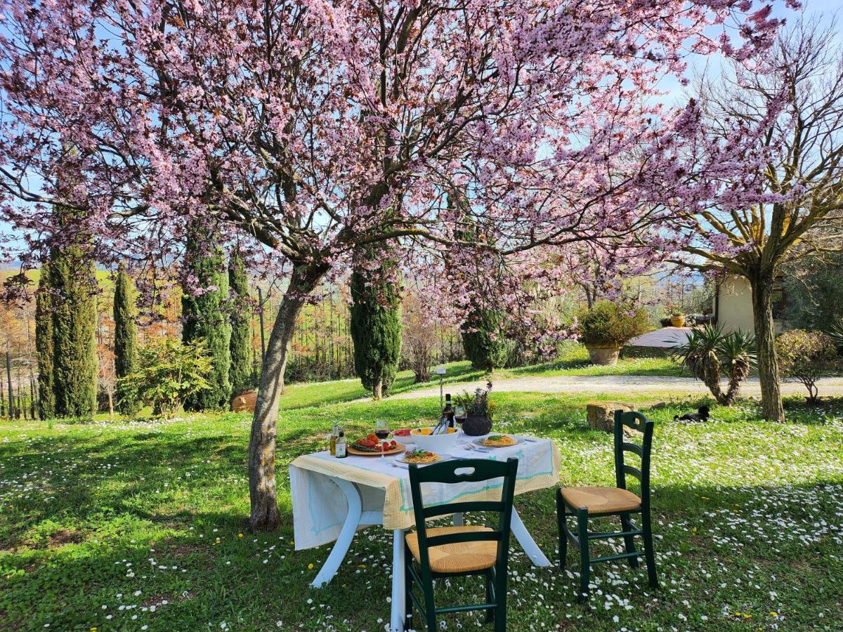 Agriturismo Lucertola Montecatini Val di Cecina Exteriér fotografie
